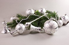 silber Glanz Christrose