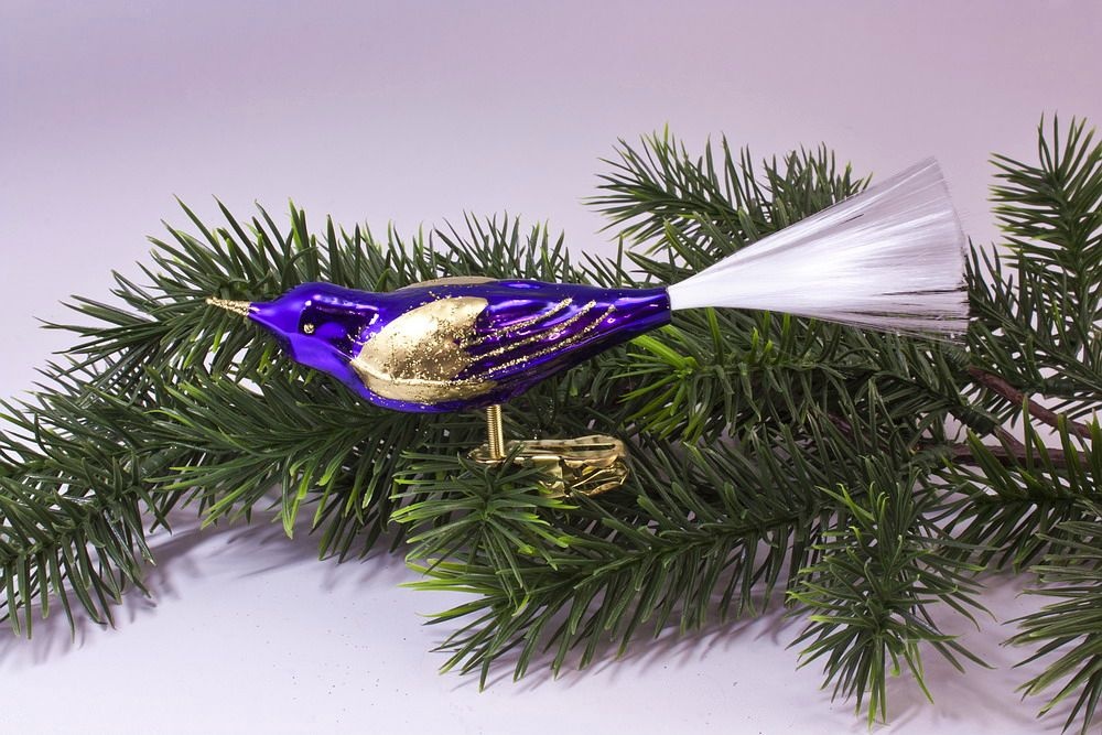 1 Vogel violett glänzend mit Bronze