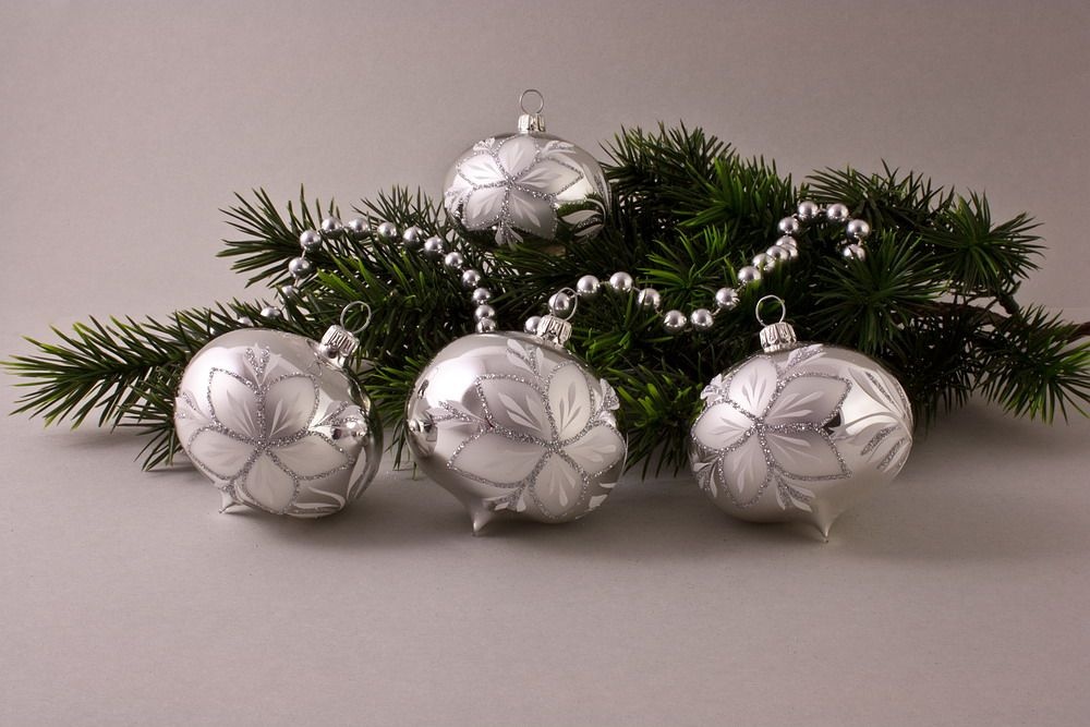 4 Zwiebeln Silber Glanz mit Christrose