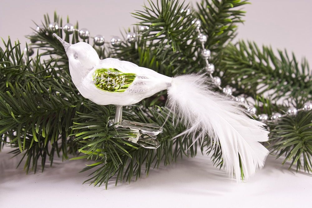 kleiner Vogel Eiswei&szlig; gr&uuml;n mit wei&szlig;er Feder