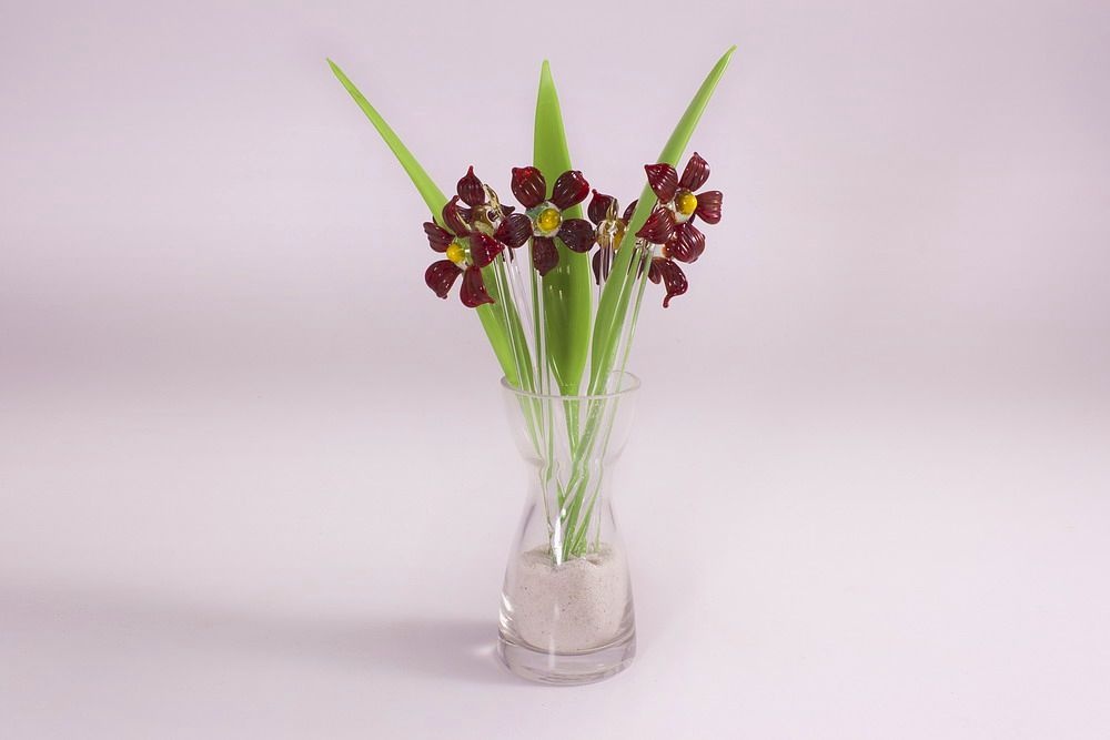 Bowlespie&szlig;e aus Glas 10-teiliges Set rote Astern