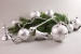 21teiliges Set - Silber Glanz mit Christrose