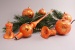 21 teiliges Set mit Baumspitze Eisorange halbes Blatt